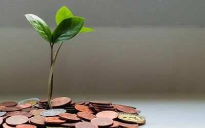 El Capital Social de una Empresa