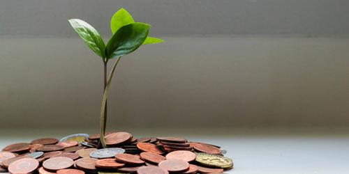 El Capital Social de una Empresa