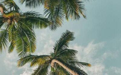 Cómo solicitar tus vacaciones fiscales para este verano