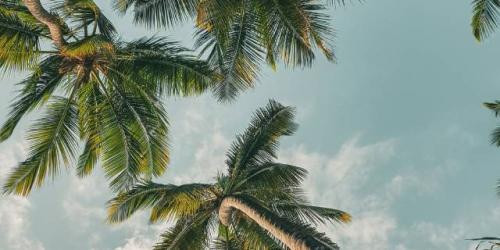 Cómo solicitar tus vacaciones fiscales para este verano